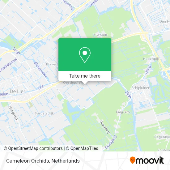 Cameleon Orchids map