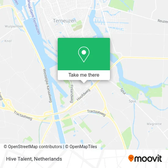 Hive Talent map