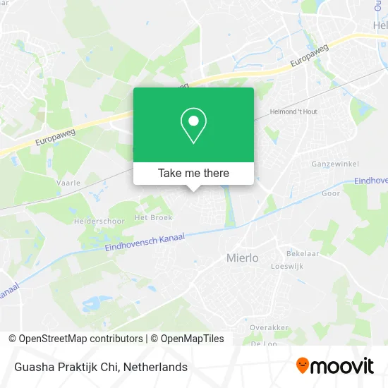 Guasha Praktijk Chi map