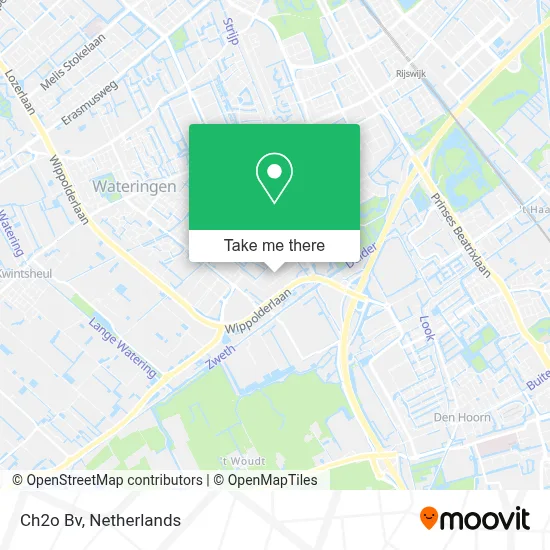 Ch2o Bv map