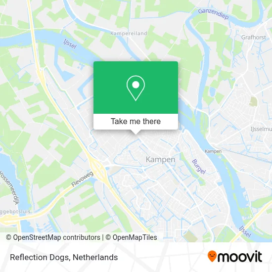 Reflection Dogs map