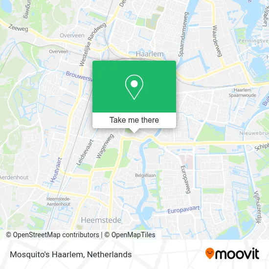 Mosquito's Haarlem map