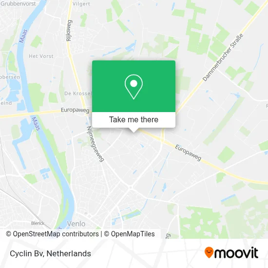 Cyclin Bv map