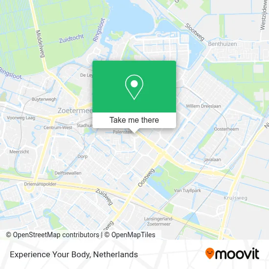 Experience Your Body map
