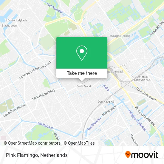 Pink Flamingo map