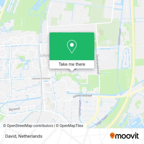 David map