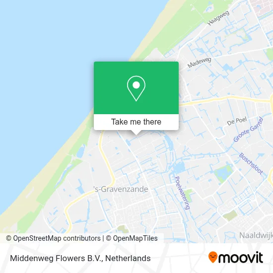 Middenweg Flowers B.V. map