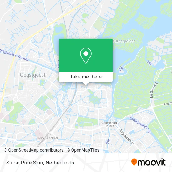 Salon Pure Skin map