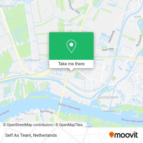 Self As Team map