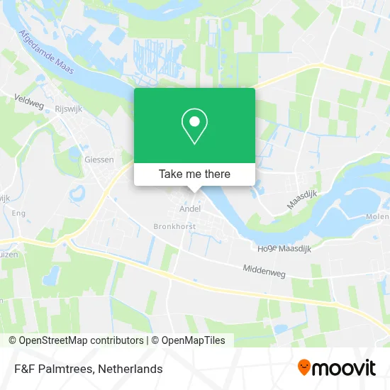 F&F Palmtrees map