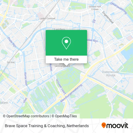 Brave Space Training & Coaching map