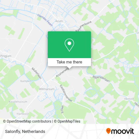 Salonfly map