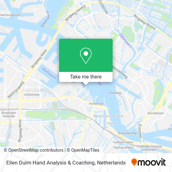 Ellen Duim Hand Analysis & Coaching map