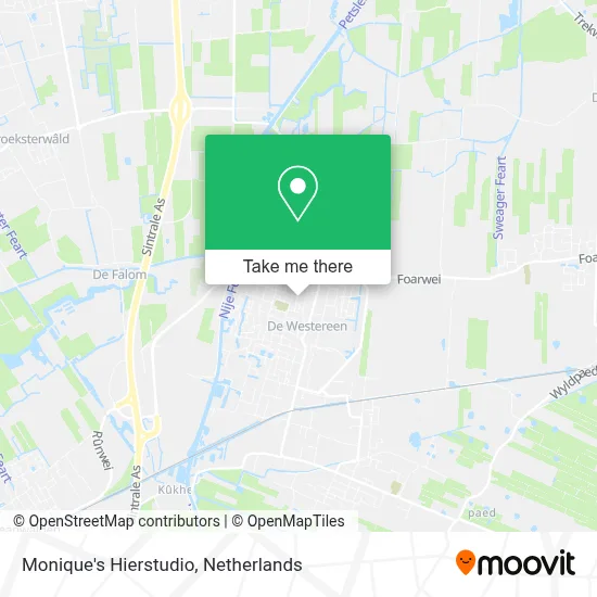 Monique's Hierstudio map