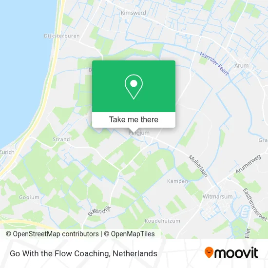 Go With the Flow Coaching map
