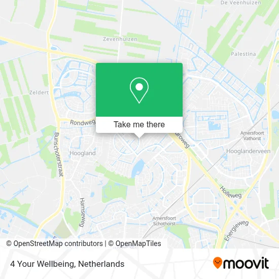4 Your Wellbeing map