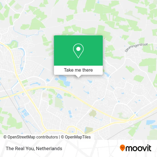 The Real You map