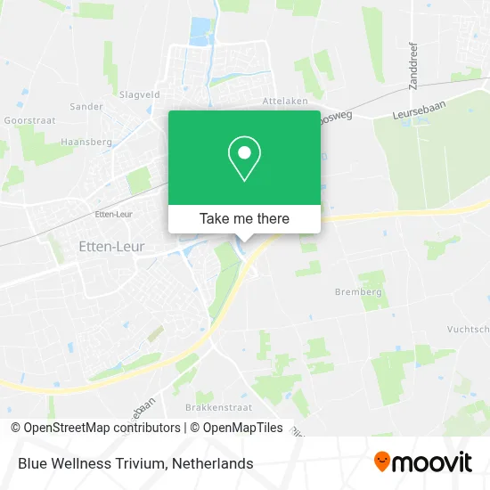 Blue Wellness Trivium map
