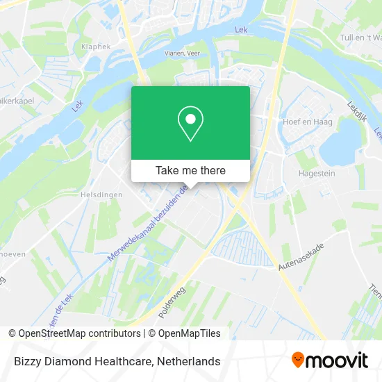 Bizzy Diamond Healthcare map