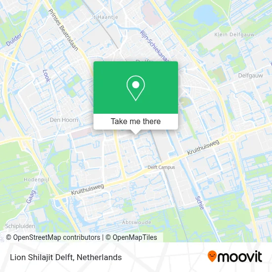 Lion Shilajit Delft map