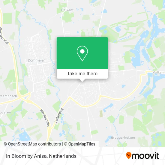 In Bloom by Anisa map