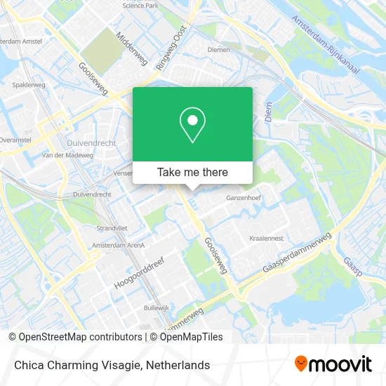 Chica Charming Visagie Karte