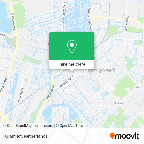 Giant Ict map