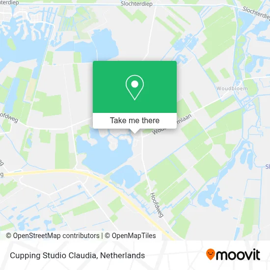 Cupping Studio Claudia map