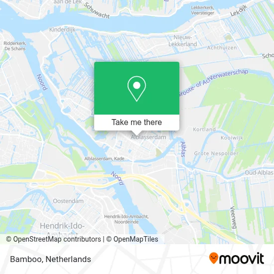 Bamboo map