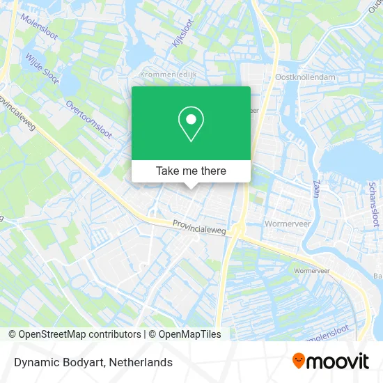 Dynamic Bodyart map