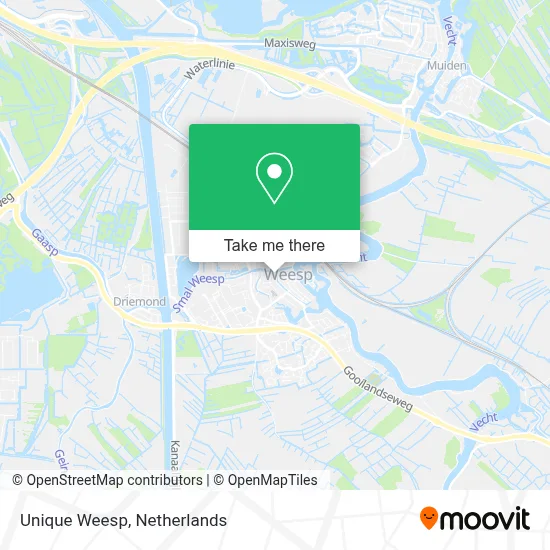 Unique Weesp map