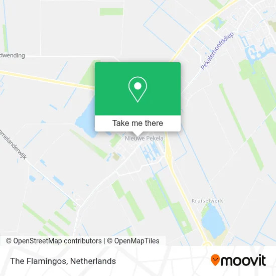 De Flamingo's map