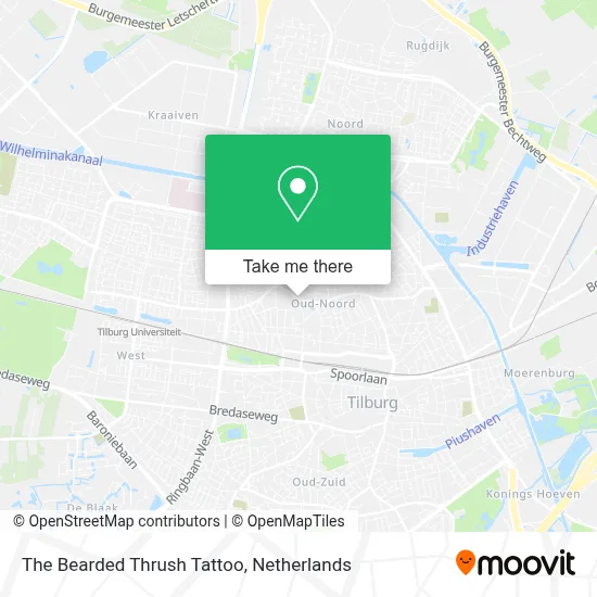 The Bearded Thrush Tattoo map