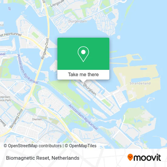 Biomagnetic Reset map