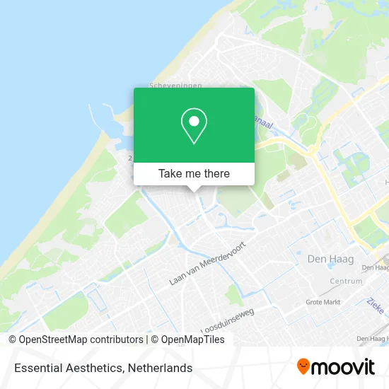 Essential Aesthetics map