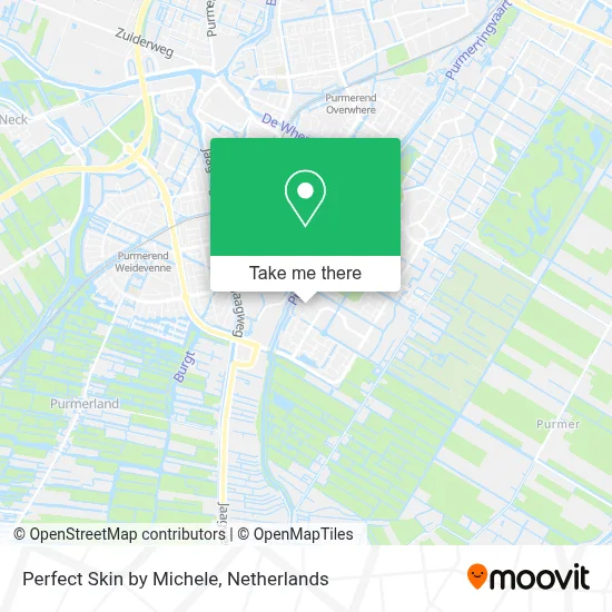 Perfect Skin by Michele map