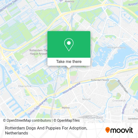 Rotterdam Dogs And Puppies  For Adoption map