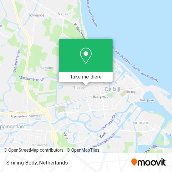 Smiling Body map