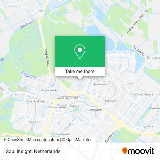 Soul Insight map