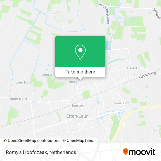 Romy's Hoofdzaak map