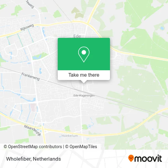 Wholefiber map
