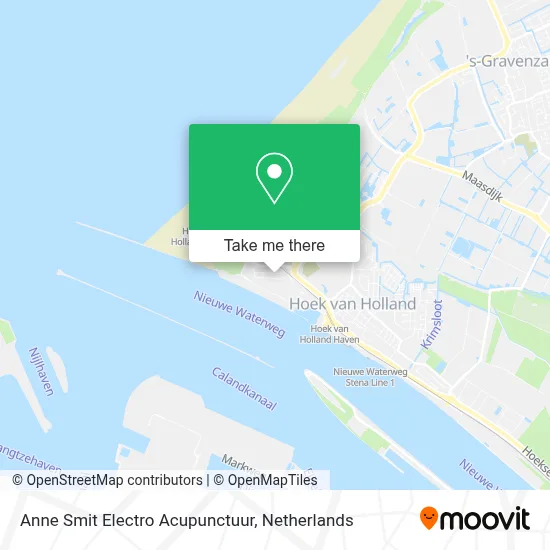 Anne Smit Electro Acupunctuur map