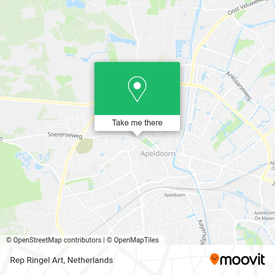 Rep Ringel Art map