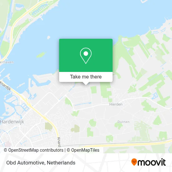 Obd Automotive map