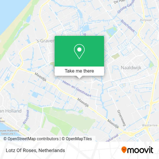 Lotz Of Roses map