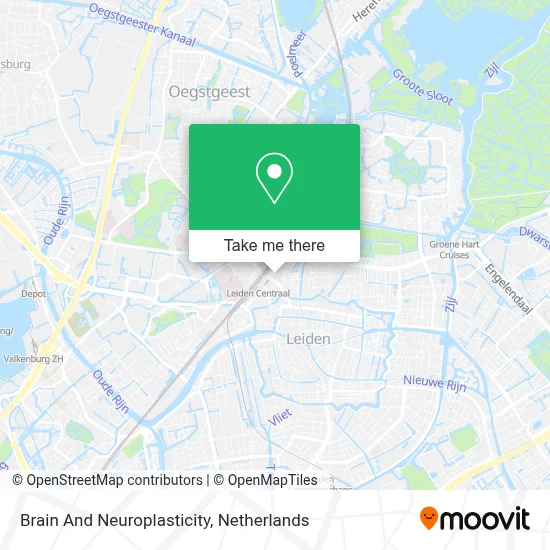 Brain And Neuroplasticity Karte