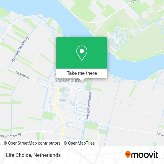 Life Choice map