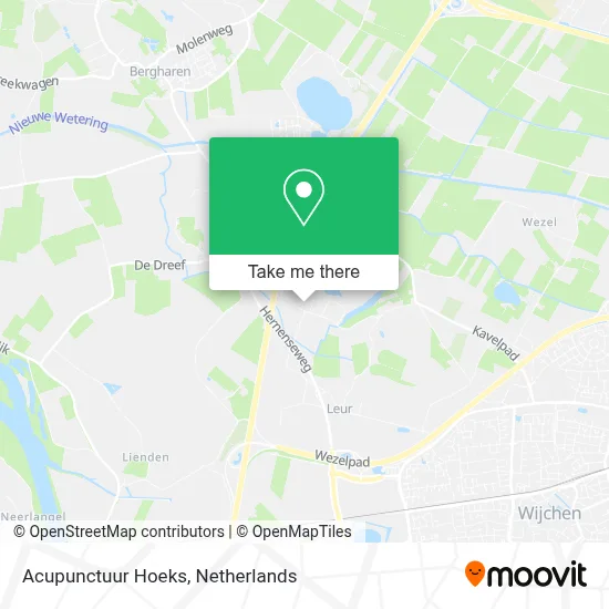 Acupunctuur Hoeks map