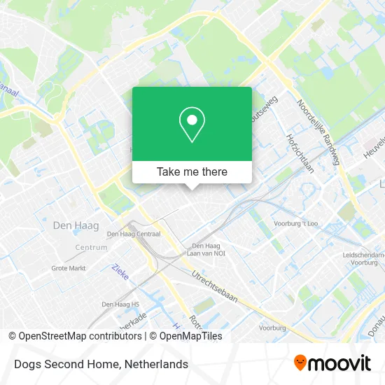 Dogs Second Home map