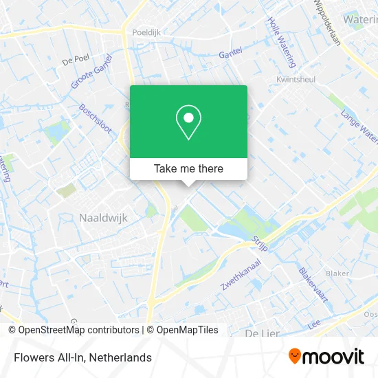 Flowers All-In map